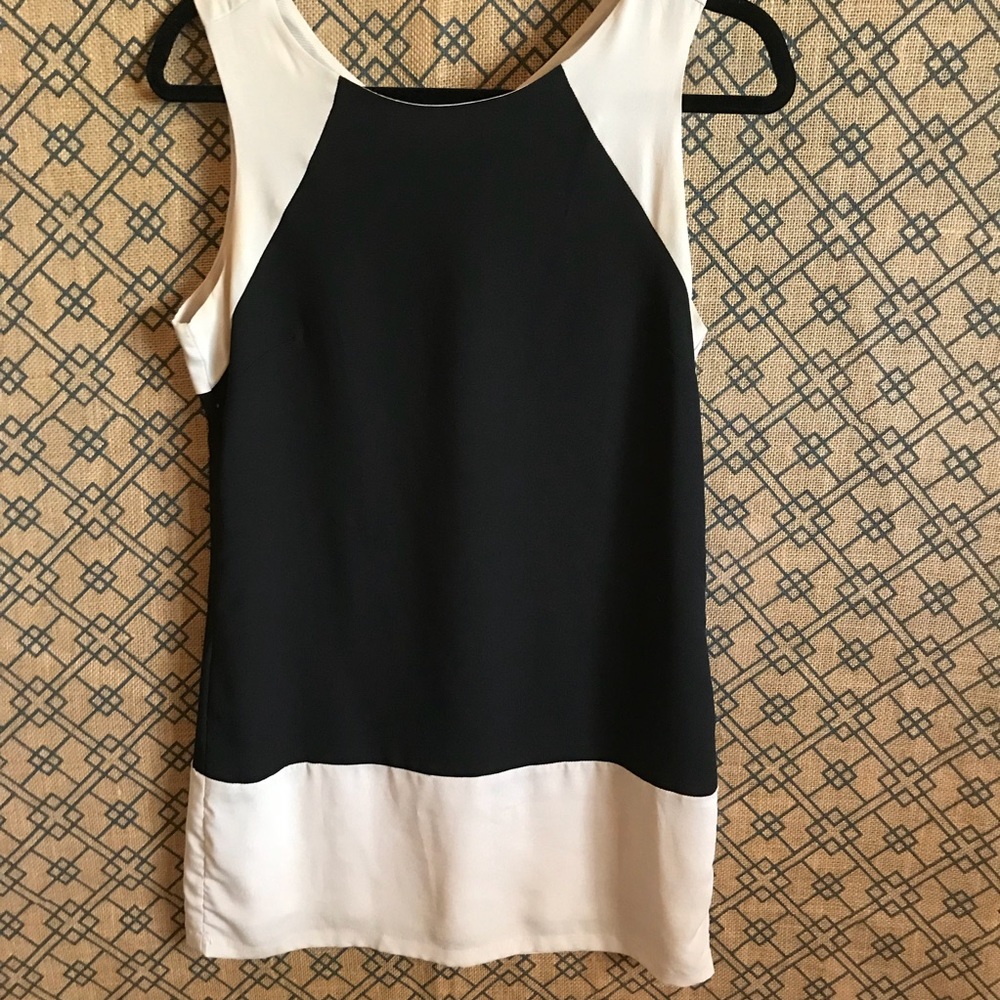 Naked Zebra black and cream dress